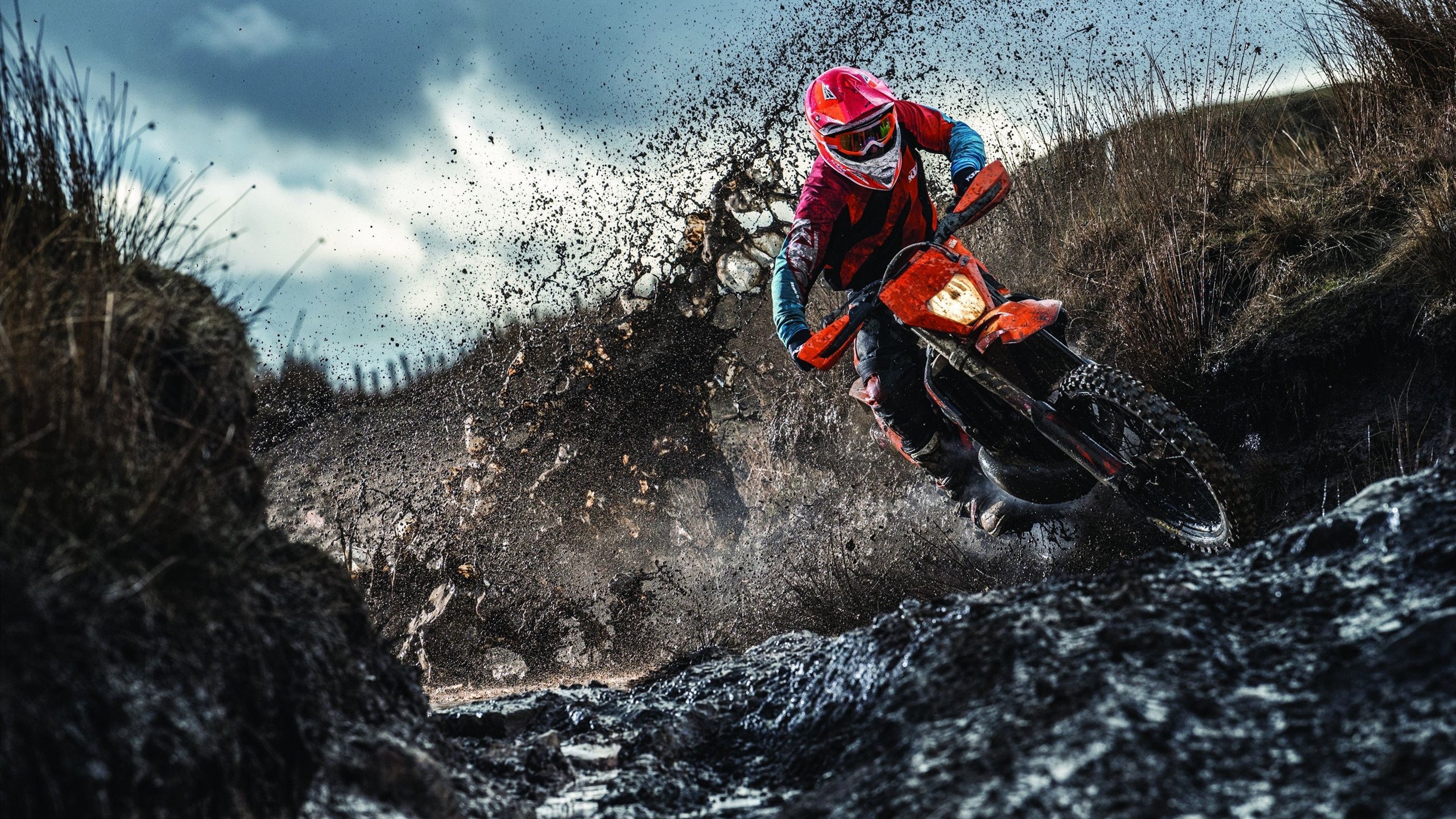 掘金主场力克森林狼，保罗关键战证明巨星价值